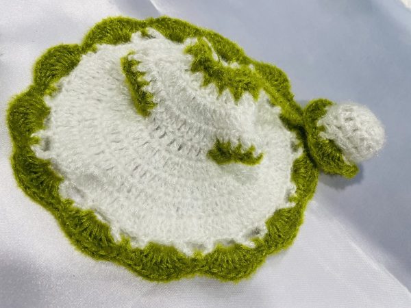 White Dress With Parrot Border Woolen Winter Laddu Gopal Ji